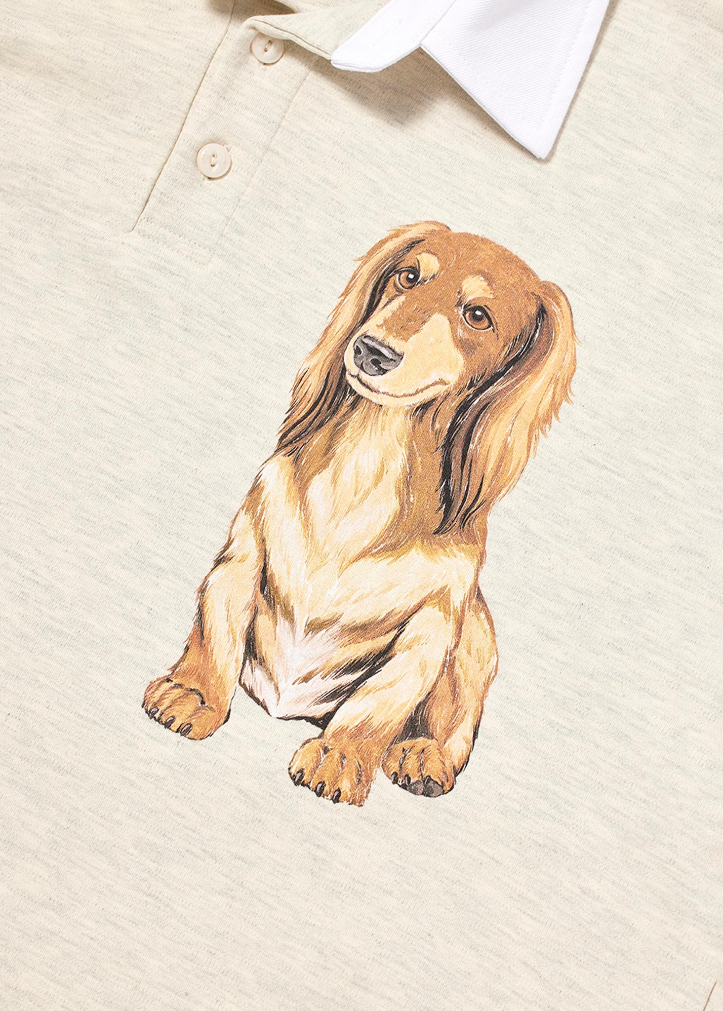 Beige Longsleeve Puppy Polo