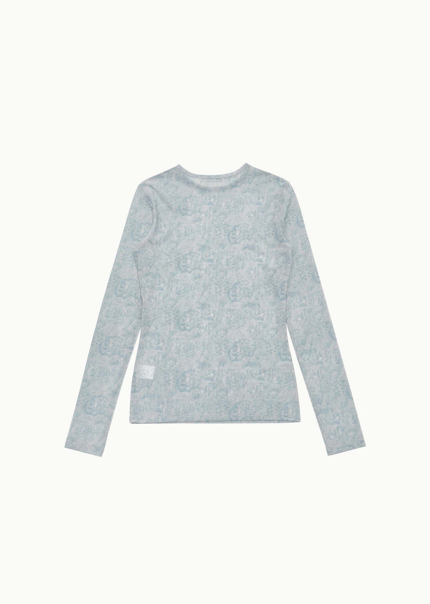 Pale Blue Floral Sheer Long Sleeve