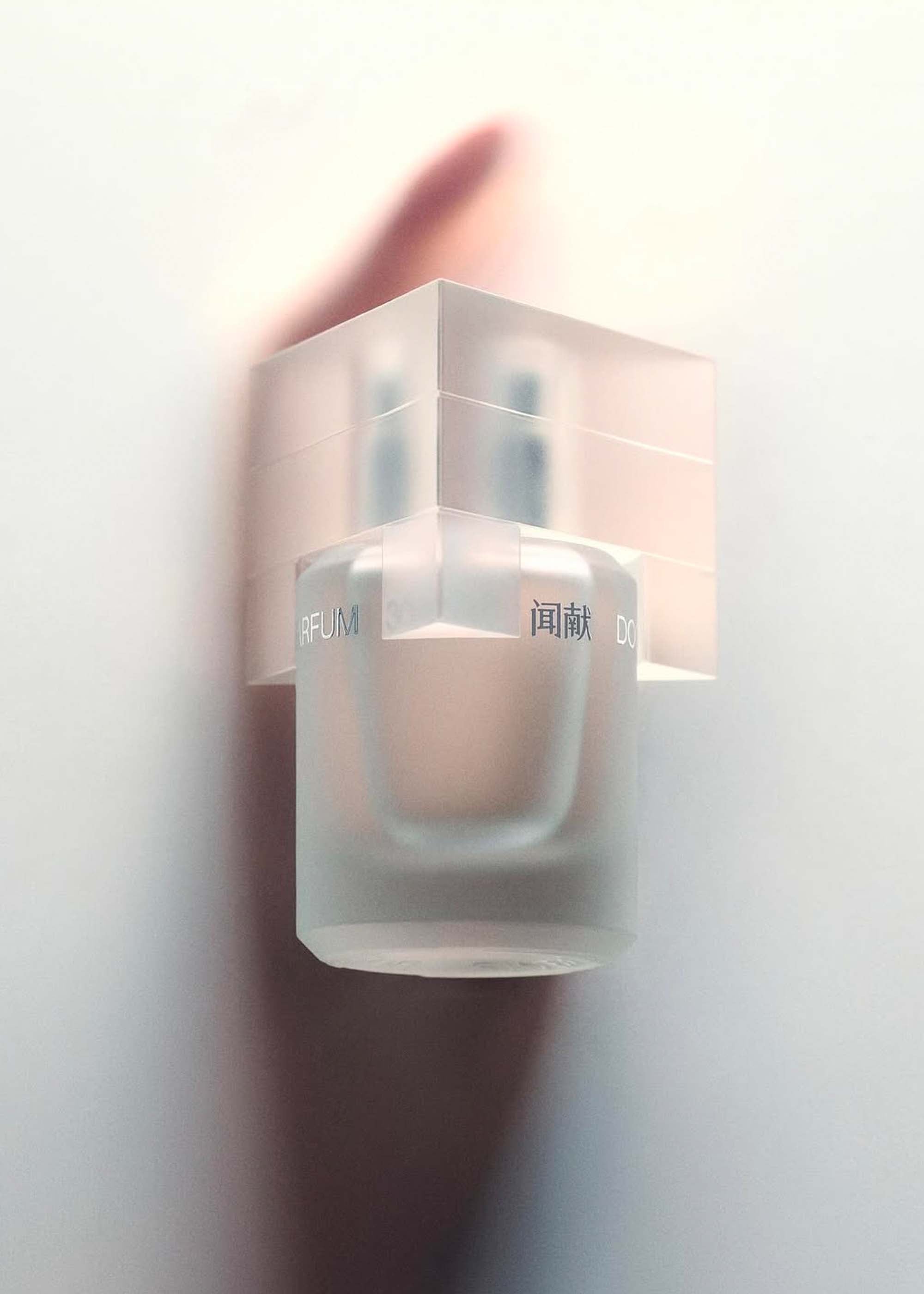 IMG_4475_2000x.jpg?v=1734402517